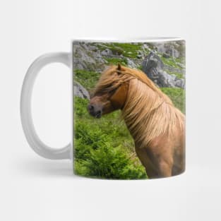 Welsh Mountain Pony Mug